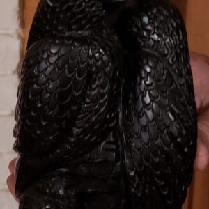 Zuni Black Marble Bird Carving by Tony Mackel