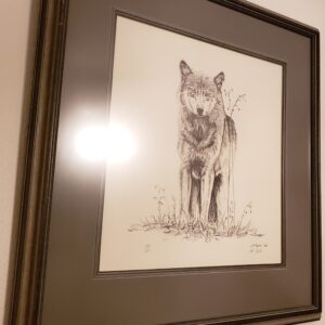 Wolf Drawing by Jeff D