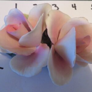 Two Pink and White Ceramic Flowers