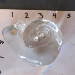 Glass Snail