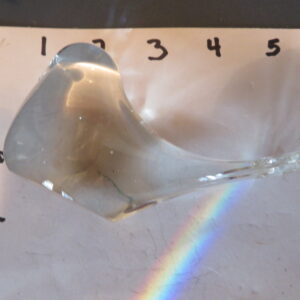 Glass Bird