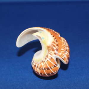 Eagle Zuni Fetish Carving in Shell