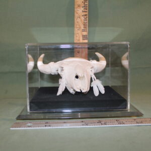 Paper Cow Skull Sculpture #