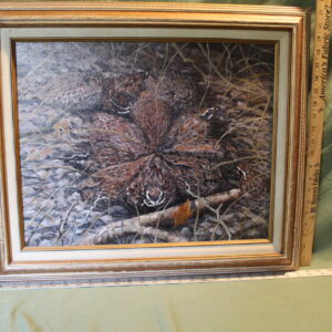 Covey of Quails in a Nest Oil Painting