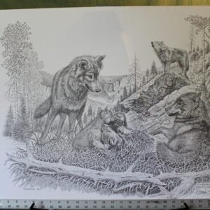 Dan Brewer Showing Off signed print