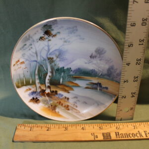 Hand Painted Scenic Plate