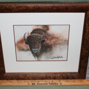 Bison head in color by John A. White