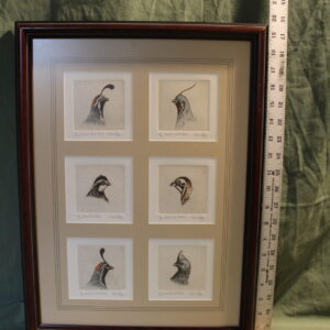 Six Birds in One Frame by Melanie Fain
