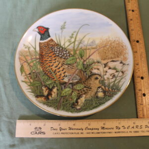 Ring-Necked Pheasant by Southern Living Gallery