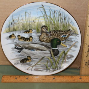 Mallard Duck by Southern Living Gallery