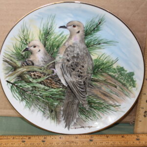 Mourning Dove by Southern Living Gallery