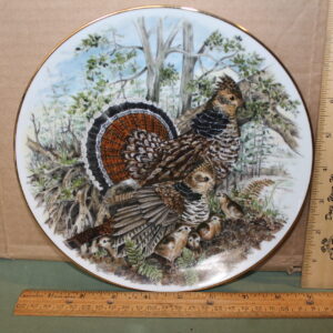Ruffed Grouse by Southern Living Gallery