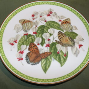 Childrena Fritillary from the Butterflies of the World Decorative Plate