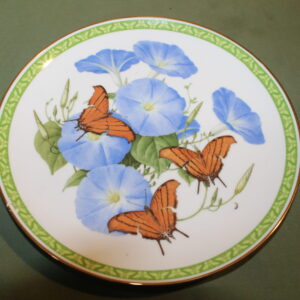 Southern Daggertail by Butterflies of the World Decorative Plate
