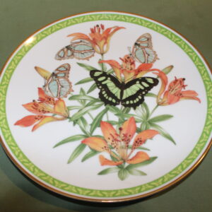 Malachite by Butterflies of the World Decorative Plate