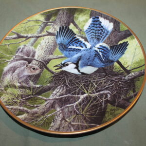 Blue Jay Protecting the Nest The National Audubon Society Decorative Plate