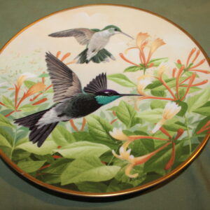 Rivoli's Hummingbird Drinking Nectar The National Audubon Society Decorative Plate