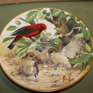Scarlet Tanager Learning to Fly The National Audubon Society Decorative Plate