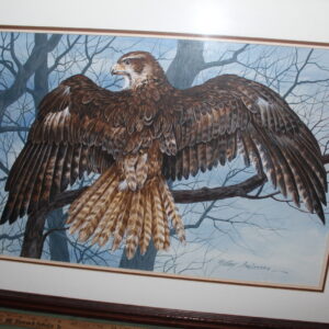 Eagle Perched on a Branch by Mary Anderson