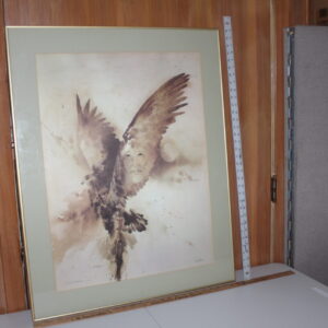 Bert D. Seabourn Native American Face in the Wing of a Soaring Eagle