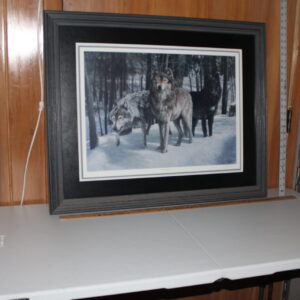 Panting of a Pack of Wolves