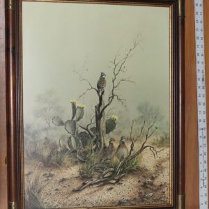Desert Quails on a Branch by a Cactus