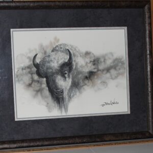 Black and White Watercolor Buffalo by John A. White