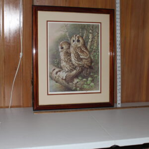 The Tawny Owl by Raymond Watson