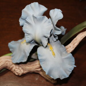 Fine Porcelain Blue Sapphire Iris