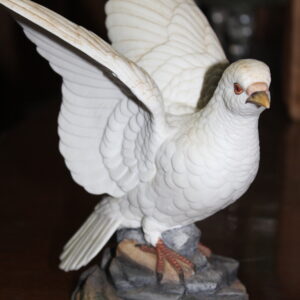 White Dove By Andrea Sadek 6400