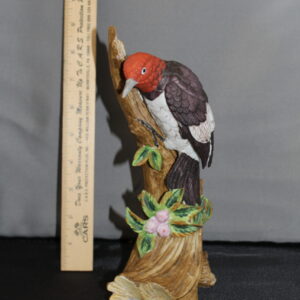 Woodpecker on Tree Figuring