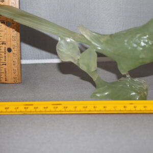 Green Jade bird Broken leg